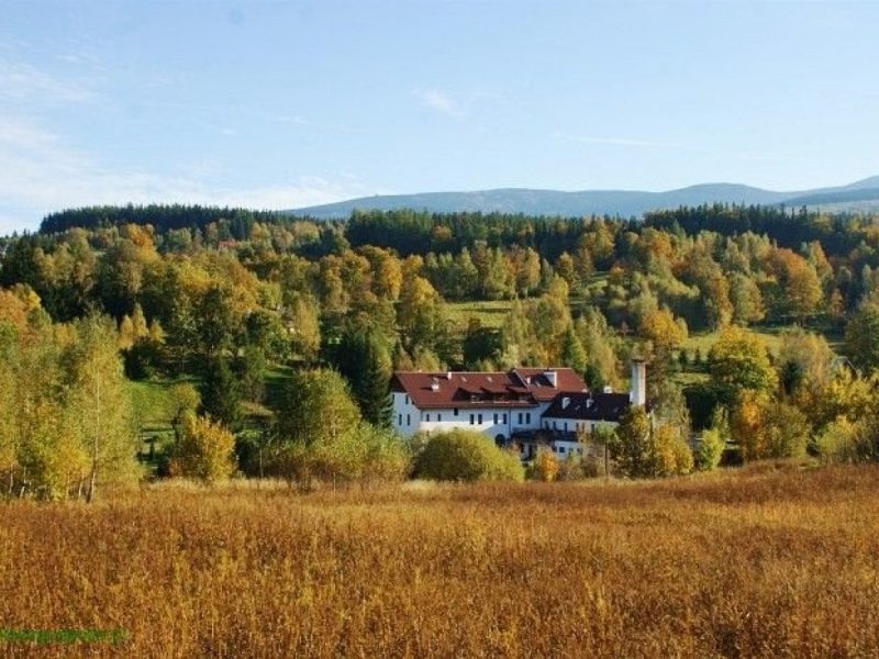 Kolonie w Karkonoszach - Karpacz