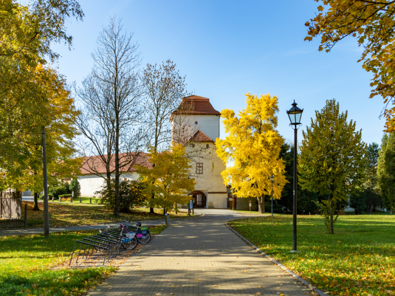 OSTRAVA W JEDEN DZIEŃ