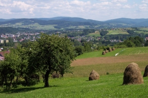OBÓZ PIŁKARSKI Gorlice