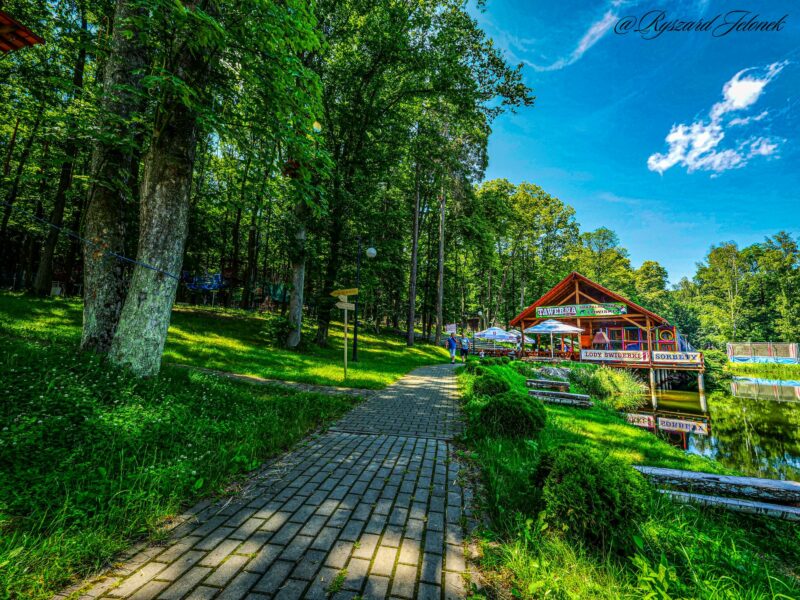 Pokrzywna Hotel Gorzelanny