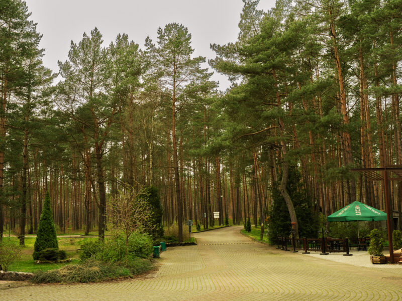 Dębrzyno Ośrodek Kolonijny