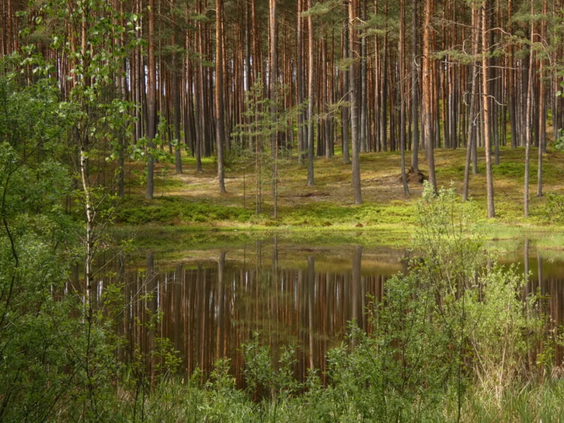 Dębrzyno Ośrodek Kolonijny