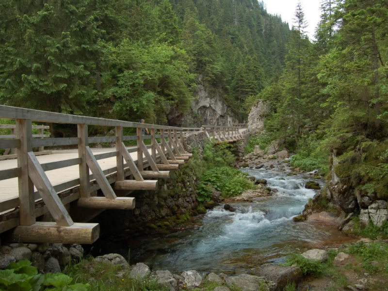 Kościelisko OW Siwarna